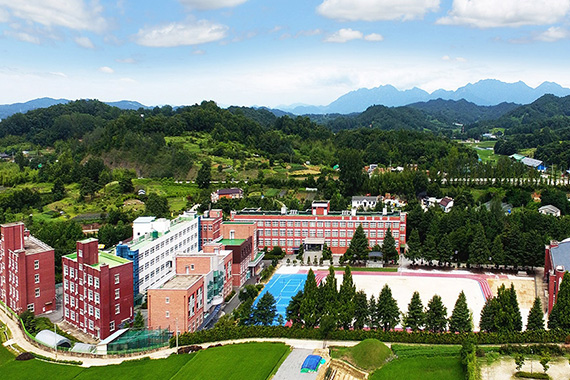 교육